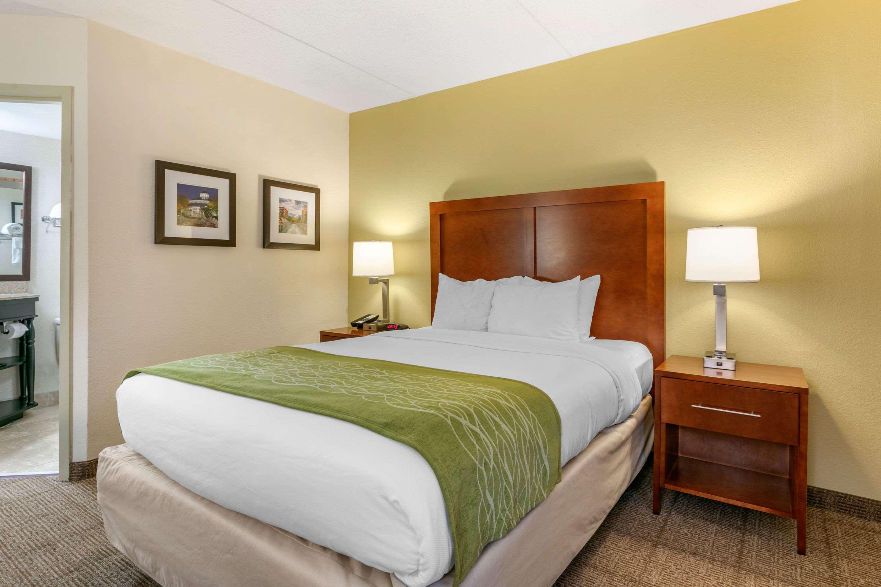 Comfort Inn Downtown Chattanooga Kültér fotó