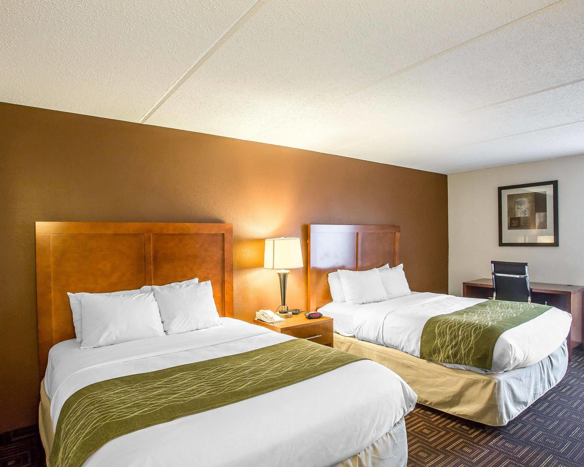 Comfort Inn Downtown Chattanooga Kültér fotó