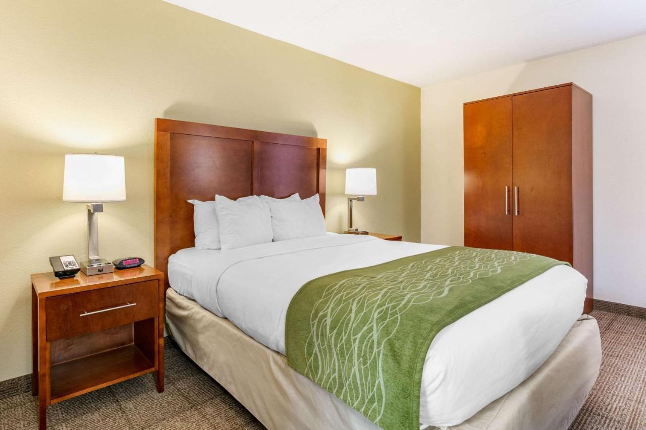 Comfort Inn Downtown Chattanooga Kültér fotó