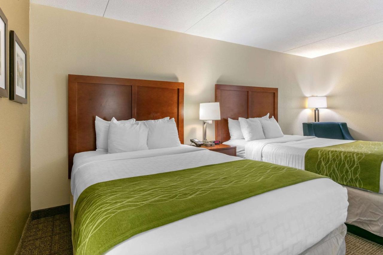 Comfort Inn Downtown Chattanooga Kültér fotó